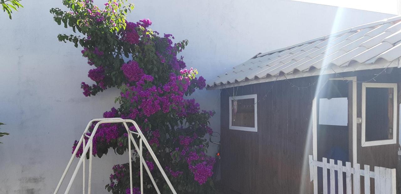 Pousada Cris Garden Bed&Breakfast Foz do Iguacu Exterior photo